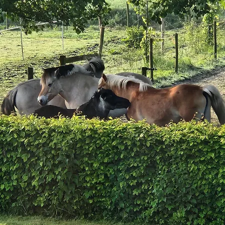 Zee-van-tijd * Oudenburg